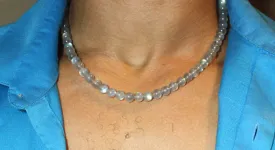 19 inch Labradorite Necklace 8mm