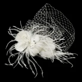 Beautiful Swarovski Crystal and Feather French Bridal Birdcage Veil