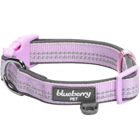 Reflective Hues of Spring | 3M Reflective Neoprene Padded Dog Collar